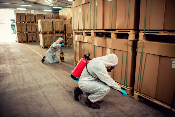 Best Bed Bug Extermination  in St Paul, TX