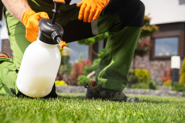 Professional Pest Control in St Paul, TX