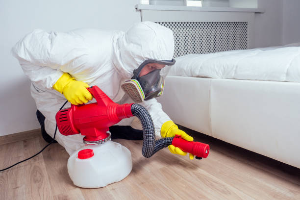 Wildlife Control Services in St Paul, TX