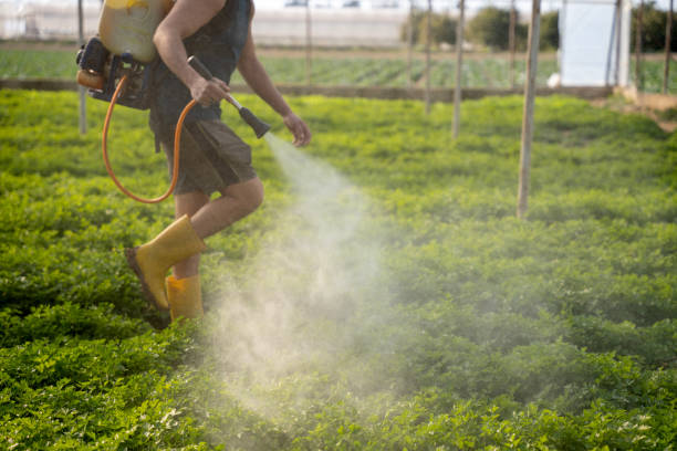 Best Best Pest Control Companies  in St Paul, TX